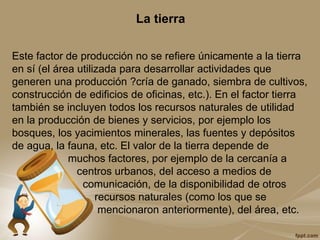 La tierra
Este factor de producción no se refiere únicamente a la tierra
en sí (el área utilizada para desarrollar actividades que
generen una producción ?cría de ganado, siembra de cultivos,
construcción de edificios de oficinas, etc.). En el factor tierra
también se incluyen todos los recursos naturales de utilidad
en la producción de bienes y servicios, por ejemplo los
bosques, los yacimientos minerales, las fuentes y depósitos
de agua, la fauna, etc. El valor de la tierra depende de
muchos factores, por ejemplo de la cercanía a
centros urbanos, del acceso a medios de
comunicación, de la disponibilidad de otros
recursos naturales (como los que se
mencionaron anteriormente), del área, etc.
 