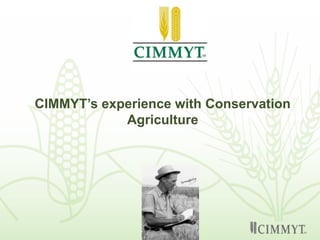 CIMMYT’s experience with Conservation
Agriculture
 