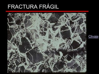 FRACTURA FRÁGIL
CHEVRONES
Clivaje
 