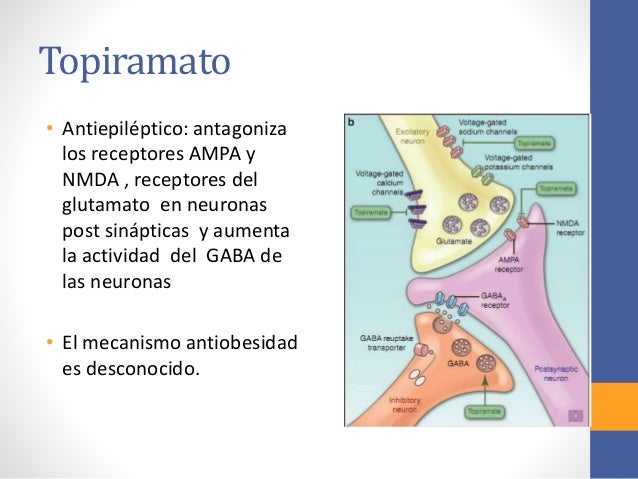 Fármacos para el tratamiento de la obesidad ¿Son suficientes? Fármacos para el tratamiento de la obesidad ¿Son suficientes?