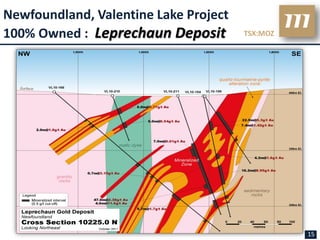 Newfoundland, Valentine Lake Project
100% Owned : Leprechaun Deposit        TSX:MOZ




                                                 15
 