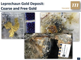 Leprechaun Gold Deposit:
Coarse and Free Gold                               TSX:MOZ

                       Visible gold in outcrop – Leprechaun Deposit




                                                                      17
 