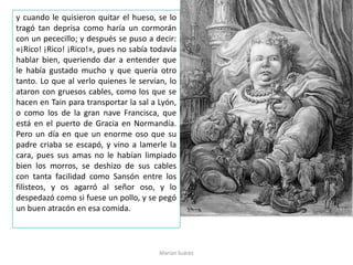 Marian Suárez
y cuando le quisieron quitar el hueso, se lo
tragó tan deprisa como haría un cormorán
con un pececillo; y después se puso a decir:
«¡Rico! ¡Rico! ¡Rico!», pues no sabía todavía
hablar bien, queriendo dar a entender que
le había gustado mucho y que quería otro
tanto. Lo que al verlo quienes le servían, lo
ataron con gruesos cables, como los que se
hacen en Tain para transportar la sal a Lyón,
o como los de la gran nave Francisca, que
está en el puerto de Gracia en Normandía.
Pero un día en que un enorme oso que su
padre criaba se escapó, y vino a lamerle la
cara, pues sus amas no le habían limpiado
bien los morros, se deshizo de sus cables
con tanta facilidad como Sansón entre los
filisteos, y os agarró al señor oso, y lo
despedazó como si fuese un pollo, y se pegó
un buen atracón en esa comida.
 