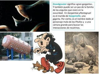Grandgousier significa «gran garganta».
Y también puede ser un pez de la familia
de las anguilas que viven en la
oscuridad. En Gargantúa yPantagruel
es el marido de Gargamelle, una
giganta. Por cierto, es el nombre dado al
personaje malo de los Pitufos y a una
cámara grande para buscar las
interacciones de neutrinos.
Marian Suárez
 