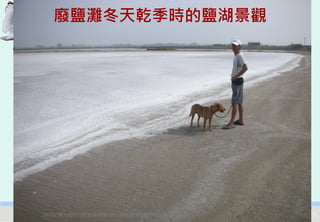 廢鹽灘冬天乾季時的鹽湖景觀




2012互惠互助的自然資源經營-里山倡議精神的實踐研討會   16
 