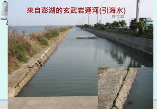 來自澎湖的玄武岩運河(引海水)




2012互惠互助的自然資源經營-里山倡議精神的實踐研討會   19
 