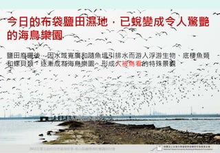 今日的布袋鹽田濕地，已蛻變成令人驚艷
的海鳥樂園
鹽田廢曬後，因水域寬廣和隨魚塭引排水而游入浮游生物、底棲魚類
和螺貝類，逐漸成為海鳥樂園，形成人被鳥看的特殊景觀




   2012互惠互助的自然資源經營-里山倡議精神的實踐研討會   20
 