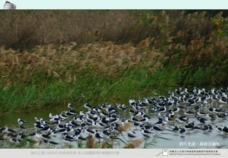 照片來源：蘇銀添攝影

2012互惠互助的自然資源經營-里山倡議精神的實踐研討會                22
 