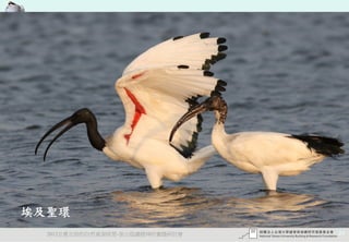 埃及聖環
  2012互惠互助的自然資源經營-里山倡議精神的實踐研討會   24
 