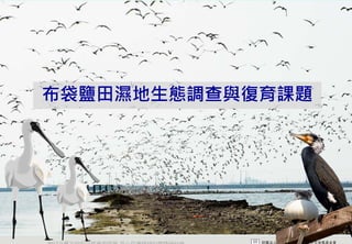 布袋鹽田濕地生態調查與復育課題




2012互惠互助的自然資源經營 里山倡議精神的實踐研討會
 