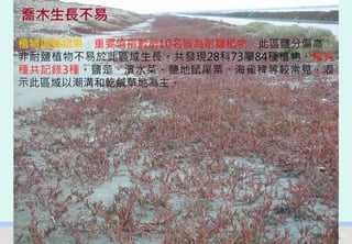 喬木生長不易
植物調查結果：重要值指數前10名皆為耐鹽植物，此區鹽分偏高，
非耐鹽植物不易於此區域生長。共發現28科73屬84種植物。稀有
種共記錄3種。鹽萣、濱水菜、鹽地鼠尾粟、海雀稗等較常見，表
示此區域以潮溝和乾鹹草地為主，




  2012互惠互助的自然資源經營-里山倡議精神的實踐研討會    42
 