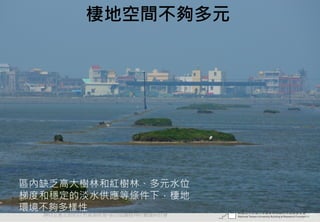 棲地空間不夠多元




區內缺乏高大樹林和紅樹林、多元水位
梯度和穩定的淡水供應等條件下，棲地
環境不夠多樣性
  2012互惠互助的自然資源經營-里山倡議精神的實踐研討會    43
                                 廢棄物
 