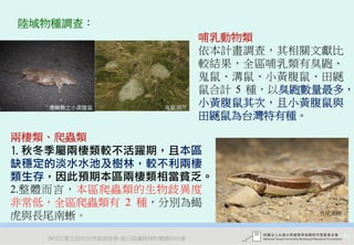 陸域物種調查：
                                  哺乳動物類
                                  依本計畫調查，其相關文獻比
                                  較結果，全區哺乳類有臭鼩、
                                  鬼鼠、溝鼠、小黃腹鼠、田鼷
                                  鼠合計 5 種，以臭鼩數量最多，
   遭輾斃之小黃腹鼠               鬼鼠洞穴
                                  小黃腹鼠其次，且小黃腹鼠與
                                  田鼷鼠為台灣特有種。
兩棲類、爬蟲類
1.秋冬季屬兩棲類較不活躍期，且本區
缺穩定的淡水水池及樹林，較不利兩棲
類生存，因此預期本區兩棲類相當貧乏。
2.整體而言，本區爬蟲類的生物歧異度
非常低，全區爬蟲類有 2 種，分別為蝎
虎與長尾南蜥。                                       長尾南蜥



   2012互惠互助的自然資源經營-里山倡議精神的實踐研討會                      44
 