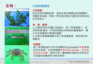 生物：             水域物種調查：
                大型藻類：
                綜合四季的調查結果，皆有出現的藻種為傘房龍鬚菜
                和穗狀刺絲藻，而第一季在N1與N2大量生長的條滸苔，
                秋天時很少

         緣管滸苔   魚、蝦、蟹類：
                1. 共發現19科23種5,706隻次，第二季魚數最少，第
                四季魚種 最多。所有的魚種以吳郭魚的數量最多，顯
                示外來魚種對於環境的適應。
                2. 四季的魚蝦蟹調查中第三季魚量最高，第四季的魚
                種最多
         攝影者:童淑珠
        巴拉金梭魚      底棲類：
                   第三季調查資料中所列青鱂科Oryziidae的青鱂為瀕
                   危淡水魚類；也同樣捕獲對蝦科Penaeidae，其為漁
                   民經濟性漁獲。資料中前十優勢種的搖蚊科及其他水
                   生昆蟲則為鷸鴴科水鳥的食物。

     布氏金梭魚
 2012互惠互助的自然資源經營-里山倡議精神的實踐研討會                    45
           字紋弓蟹
 