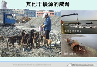 其他干擾源的威脅



                                     漁撈（撈海菜）




流浪狗                                  廢棄物汙染



      2012互惠互助的自然資源經營-里山倡議精神的實踐研討會             47
                                               廢棄物
 