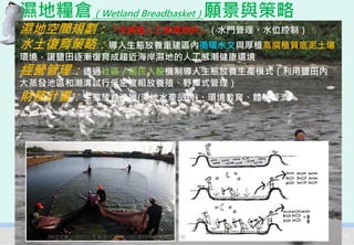 濕地糧倉（Wetland Breadbasket）願景與策略
濕地空間規劃：『仿漁塭人工感潮濕地』（水門管理、水位控制）
水土復育策略：導入生態放養重建區內循環水文與厚植高腐植質底泥土壤
環境，讓鹽田逐漸復育成趨近海岸濕地的人工感潮健康環境
經營管理：透過社區／居民入股機制導入生態放養生產模式（利用鹽田內
大蒸發池區和潮溝試行低密度粗放養殖、野潭式管理）
財務計畫：生態放養漁獲(濕地水產品牌)、環境教育、體驗經濟




   2012互惠互助的自然資源經營-里山倡議精神的實踐研討會    56
 