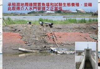 承租濕地周邊閒置魚塭和試驗生態養殖，並藉
此取得介入水門管理之正當性




 2012互惠互助的自然資源經營 里山倡議精神的實踐研討會
 