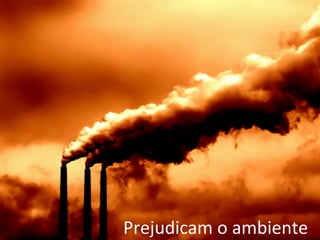 Prejudicam o ambiente
 