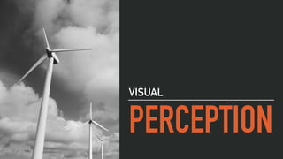 PERCEPTION
VISUAL
 
