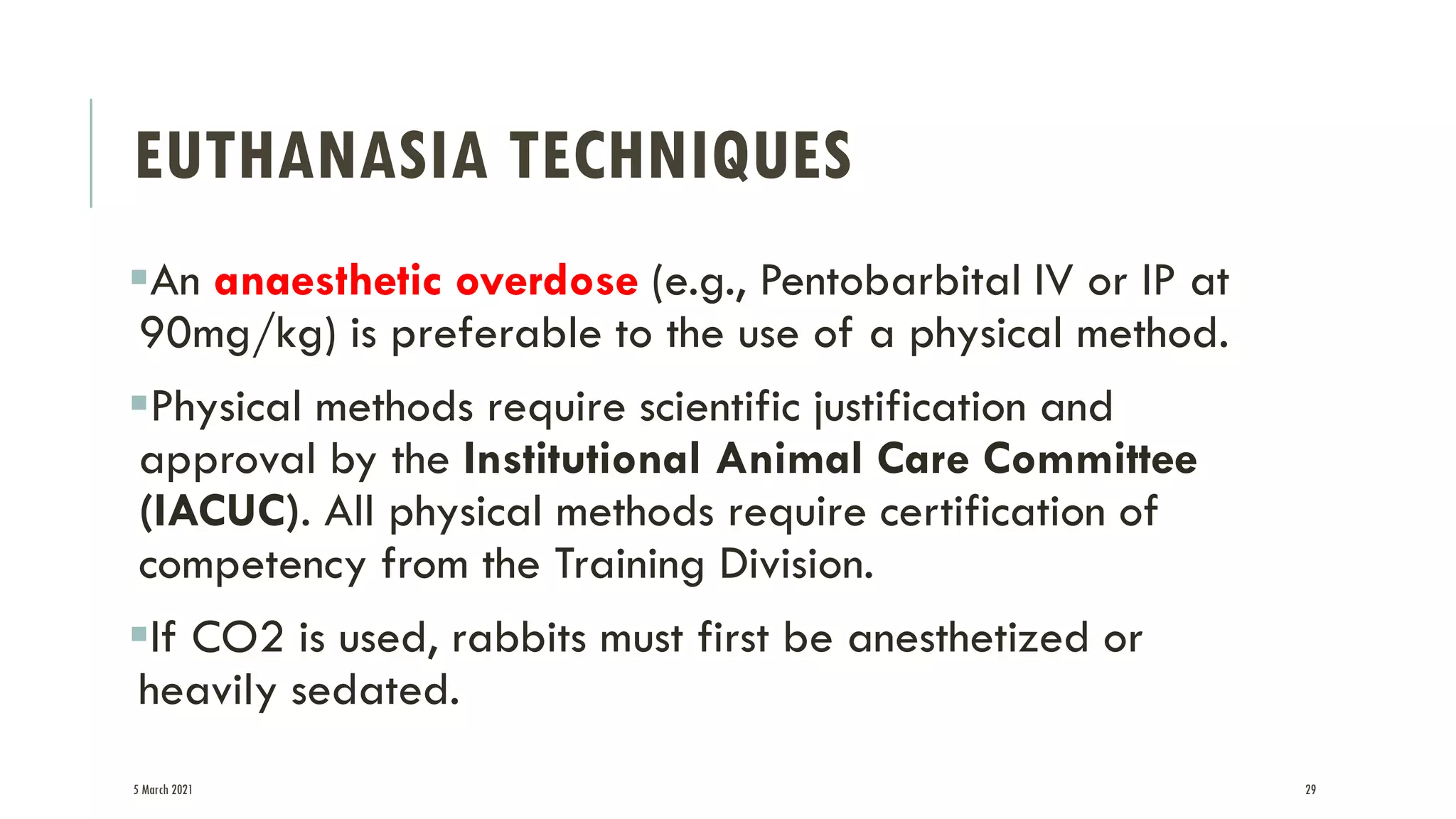 Rabbit as a Laboratory Animal. | PDF