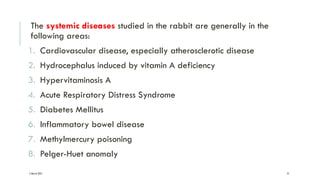 Systematic Rabbit Rabbit as a Laboratory Animal. | PDF
