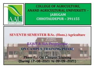 COLLEGE OF AGRICULTURE,
ANAND AGRICULTURAL UNIVERSITY –
JABUGAM
CHHOTAUDEPUR – 391155
SEVENTH SEMESTER B.Sc. (Hons.) Agriculture
RAWE & AIA Programme
ON CAMPUS TRAINING PHASE
Phase P2 : On Campus Training
(During 17-08-2021 to 09-09-2021)
 