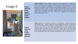 Image 6 Critical
reflection
of the
image’s
ability to
realise
purpose
• Original Intentions: What I originally wanted was to get a good shot of my dog either
outside or looking out of the window. However since the weather wasn’t great the day I
had to shoot my photos, I decided that I would go with my second option. The whole
purpose of my photos was to showcase what was going to happen in my film, so that I
could get some form of idea as to what my ideas would look like and see if there was
anything that I would need to do before I began filming e.g., was there any props that I
would need to purchase, were there scenes that I intended up not wanting to
shoot/found difficulty to film.
Critical
reflection
of the
image’s
quality of
execution
• Quality: During my time taking the photos for my storyboards I ended up shooting at
two separate times. I took the majority of the during night-time and the rest during the
day-time. The reason for this was because I needed someone to help me shoot some of
the photos (e.g., as you can see on some of the photos there is someone holding my dog
up whilst I take the photos) and this is because 1. I wasn’t able to shoot the photos
whilst holding my dog at the same time and 2. my household members often either work
or are busy during the time that I wanted to take photos so I had no choice but to wait.
Image
Here
 