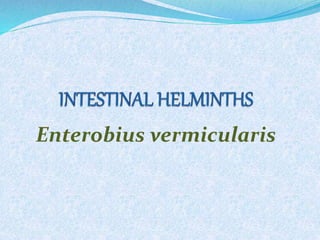 Enterobius vermicularis
8/19/2022 4:00 AM 1
 