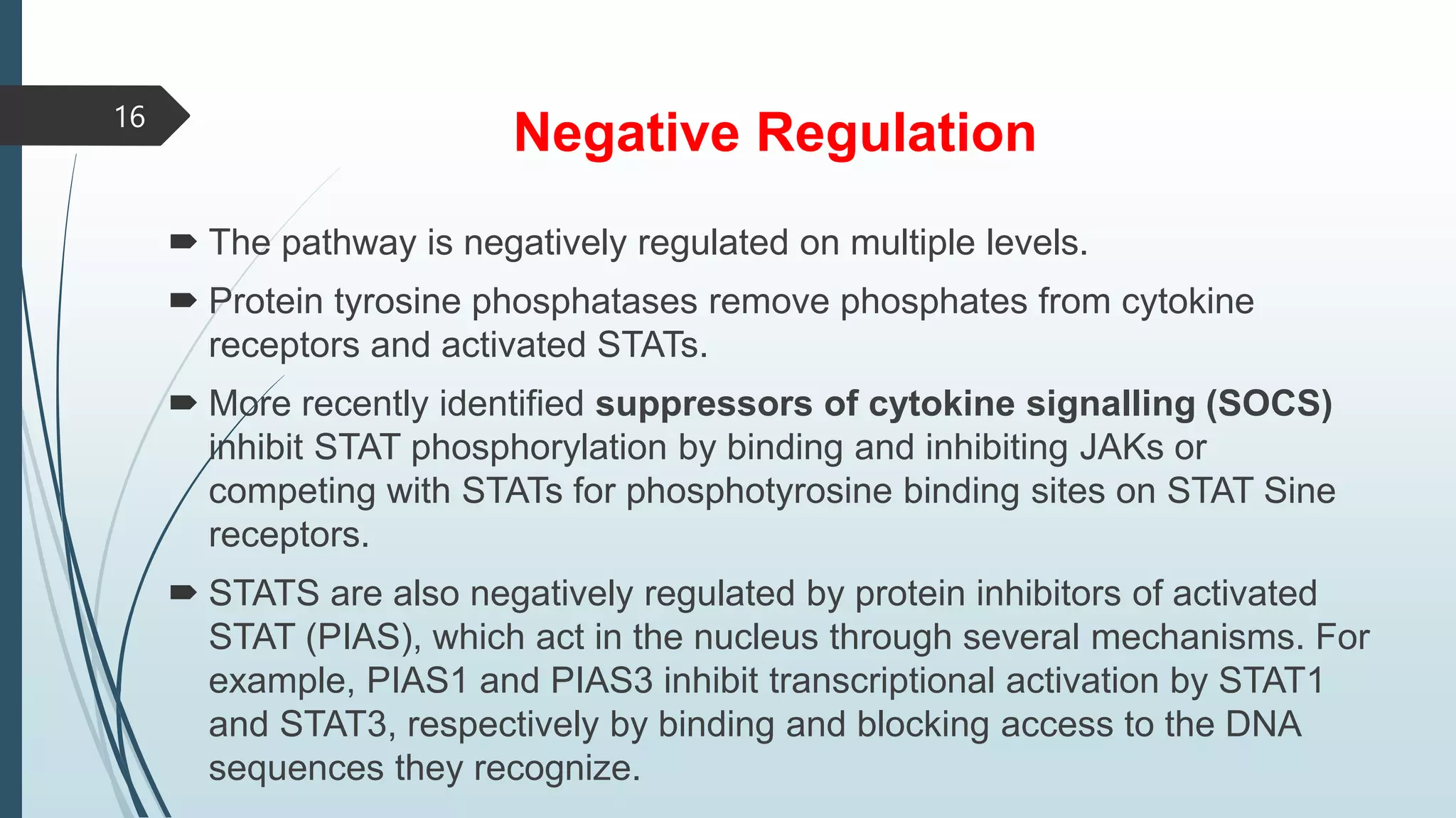 Negative Regulation
 The pathway is negatively regulated on multiple levels.
 Protein tyrosine phosphatases remove phosphates from cytokine
receptors and activated STATs.
 More recently identified suppressors of cytokine signalling (SOCS)
inhibit STAT phosphorylation by binding and inhibiting JAKs or
competing with STATs for phosphotyrosine binding sites on STAT Sine
receptors.
 STATS are also negatively regulated by protein inhibitors of activated
STAT (PIAS), which act in the nucleus through several mechanisms. For
example, PIAS1 and PIAS3 inhibit transcriptional activation by STAT1
and STAT3, respectively by binding and blocking access to the DNA
sequences they recognize.
16
 