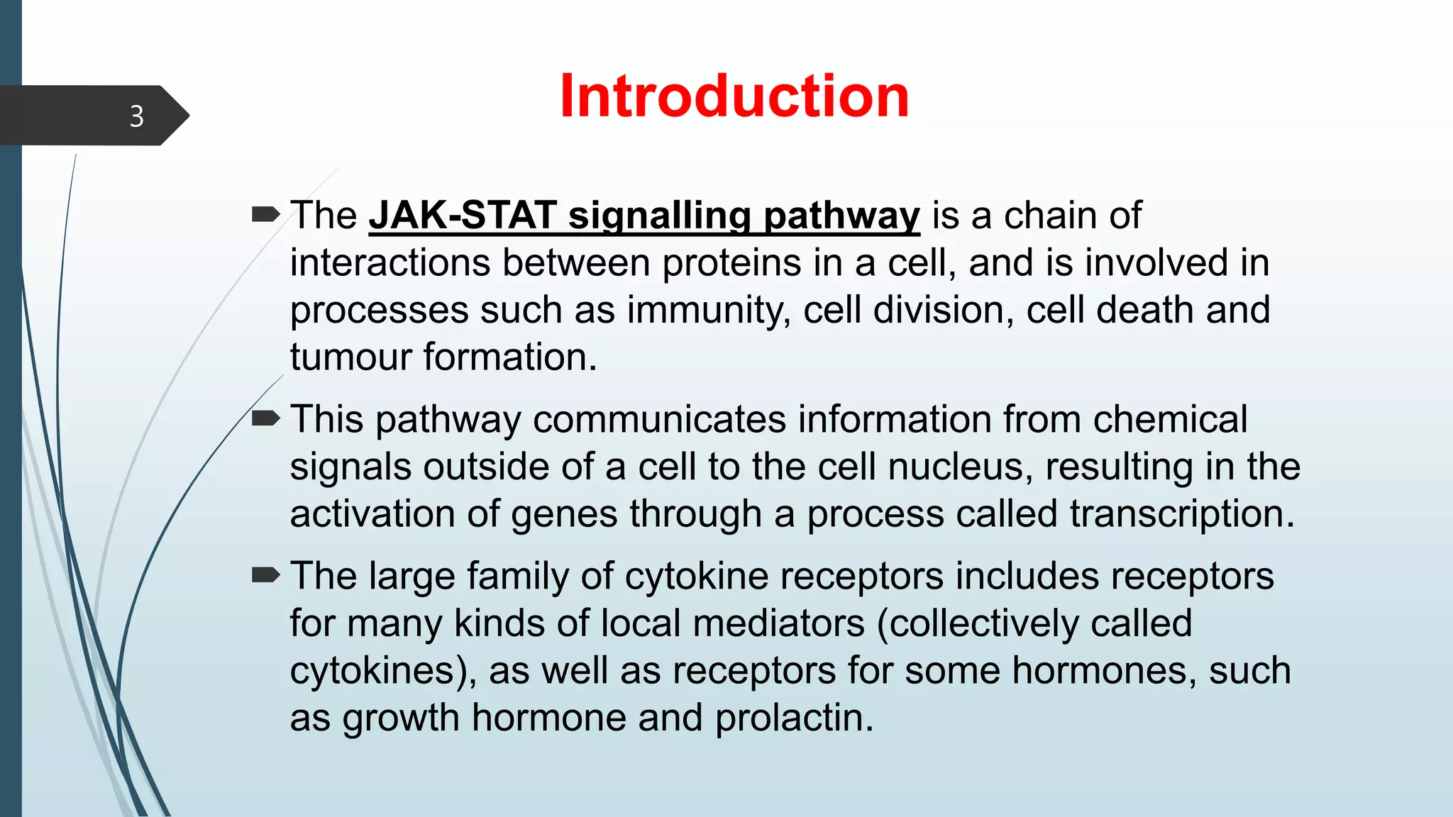Introduction
The JAK-STAT signalling pathway is a chain of
interactions between proteins in a cell, and is involved in
processes such as immunity, cell division, cell death and
tumour formation.
This pathway communicates information from chemical
signals outside of a cell to the cell nucleus, resulting in the
activation of genes through a process called transcription.
The large family of cytokine receptors includes receptors
for many kinds of local mediators (collectively called
cytokines), as well as receptors for some hormones, such
as growth hormone and prolactin.
3
 