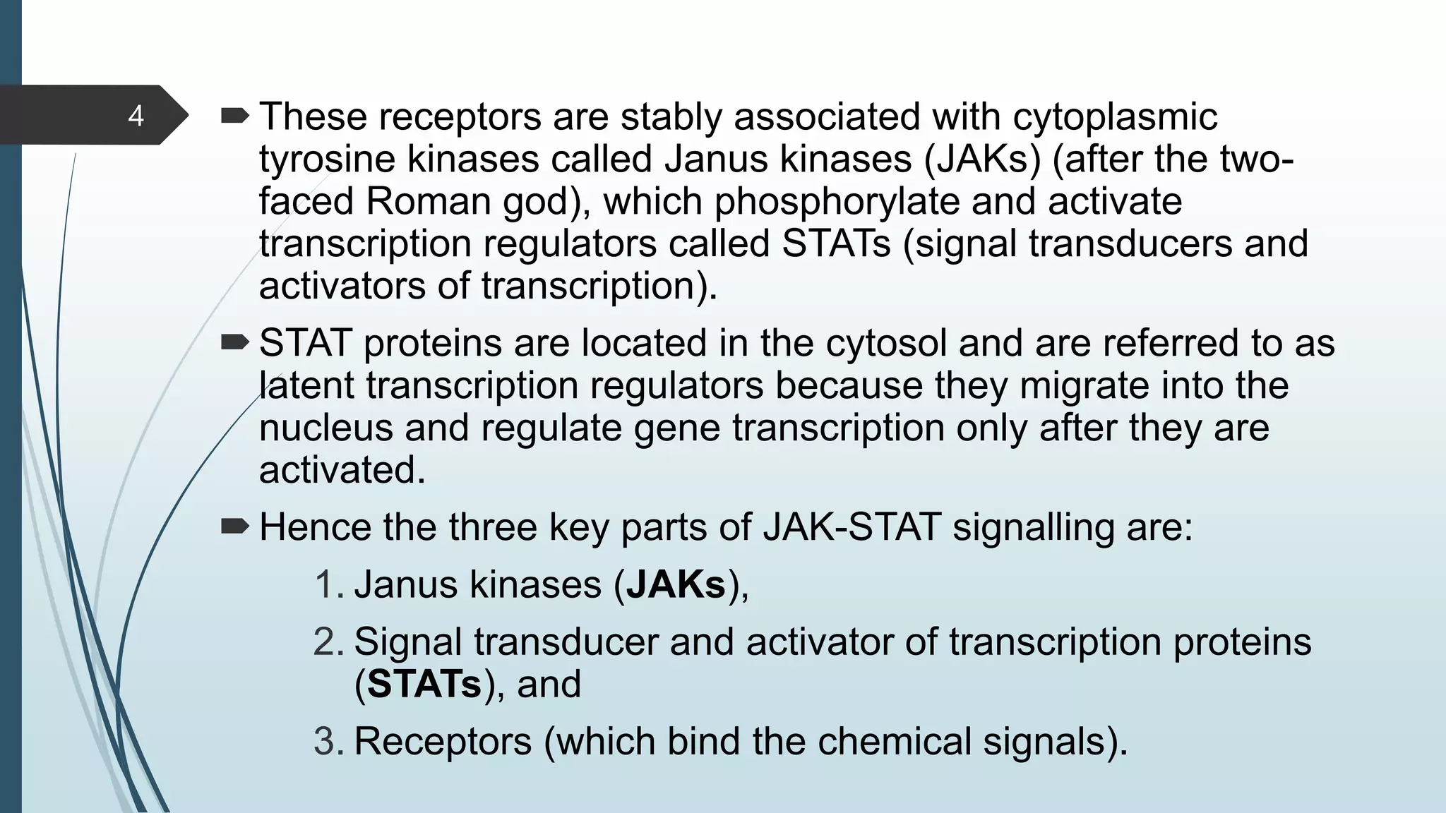 These receptors are stably associated with cytoplasmic
tyrosine kinases called Janus kinases (JAKs) (after the two-
faced Roman god), which phosphorylate and activate
transcription regulators called STATs (signal transducers and
activators of transcription).
STAT proteins are located in the cytosol and are referred to as
latent transcription regulators because they migrate into the
nucleus and regulate gene transcription only after they are
activated.
Hence the three key parts of JAK-STAT signalling are:
1. Janus kinases (JAKs),
2. Signal transducer and activator of transcription proteins
(STATs), and
3. Receptors (which bind the chemical signals).
4
 
