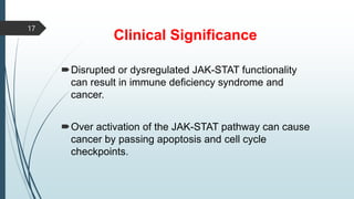 Clinical Significance
Disrupted or dysregulated JAK-STAT functionality
can result in immune deficiency syndrome and
cancer.
Over activation of the JAK-STAT pathway can cause
cancer by passing apoptosis and cell cycle
checkpoints.
17
 