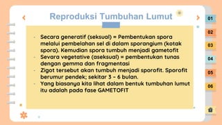 Reproduksi Tumbuhan Lumut
- Secara generatif (seksual) = Pembentukan spora
melalui pembelahan sel di dalam sporangium (kotak
spora). Kemudian spora tumbuh menjadi gametofit
- Sevara vegetative (aseksual) = pembentukan tunas
dengan gemma dan fragmentasi
- Zigot tersebut akan tumbuh menjadi sporofit. Sporofit
berumur pendek; sekitar 3 – 6 bulan.
- Yang biasanya kita lihat dalam bentuk tumbuhan lumut
itu adalah pada fase GAMETOFIT
01
02
03
04
05
06
 