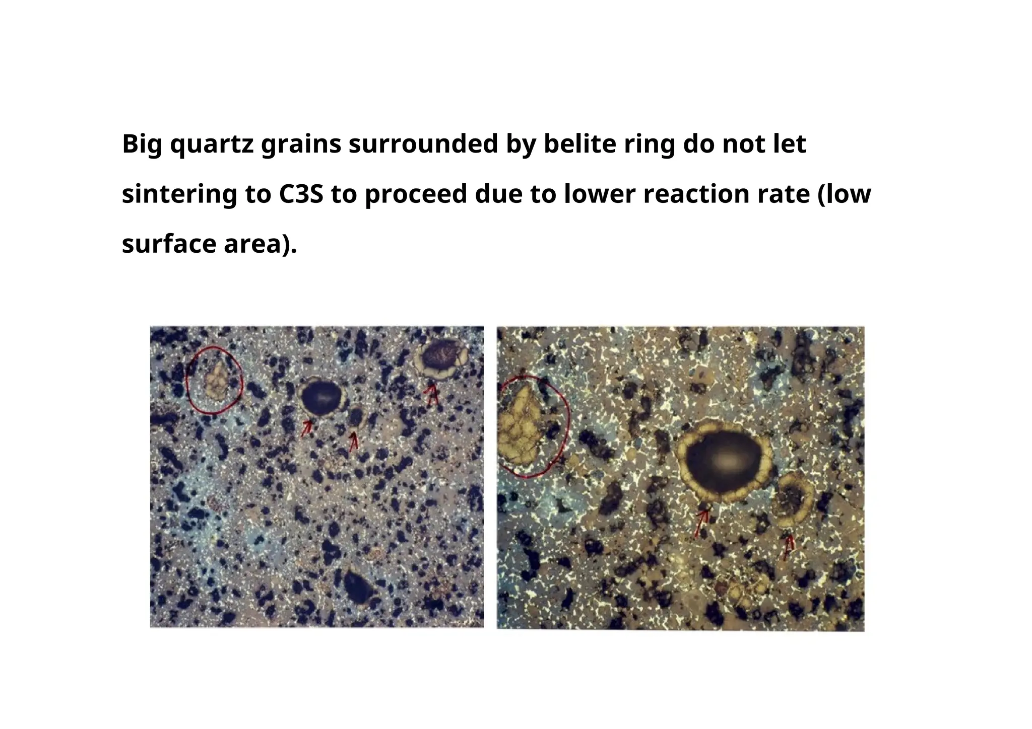 Big quartz grains surrounded by belite ring do not let
sintering to C3S to proceed due to lower reaction rate (low
surface area).
1620
 