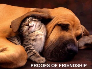 PROOFS OF FRIENDSHIP
 