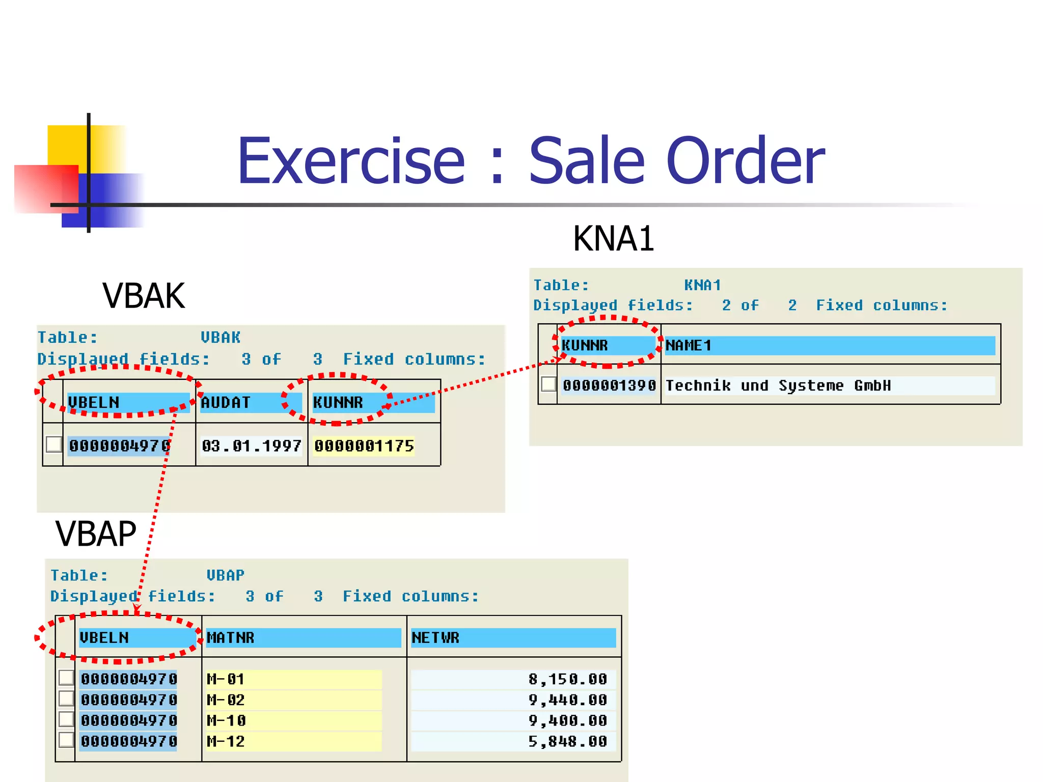 Exercise : Sale Order
                    KNA1
  VBAK




VBAP
 