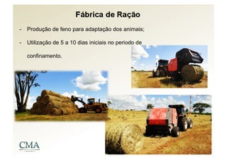 -  Produção de feno para adaptação dos animais;

-  Utilização de 5 a 10 dias iniciais no periodo de

   confinamento.
 