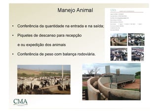 •  Conferência da quantidade na entrada e na saída;

•  Piquetes de descanso para recepção

  e ou expedição dos animais

•  Conferência de peso com balança rodoviária.
 