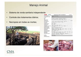 •  Sistema de ronda sanitaria independente

•  Controle dos tratamentos diários;

•  Necropsia em todas as mortes;
 