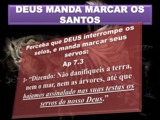 DEUS MANDA MARCAR OS
SANTOS
 