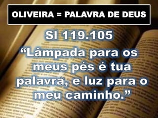 OLIVEIRA = PALAVRA DE DEUS
 