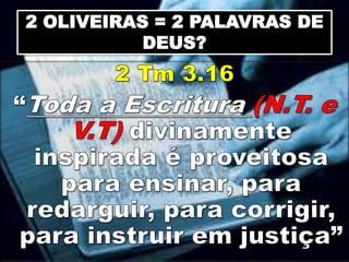 2 OLIVEIRAS = 2 PALAVRAS DE
DEUS?
 