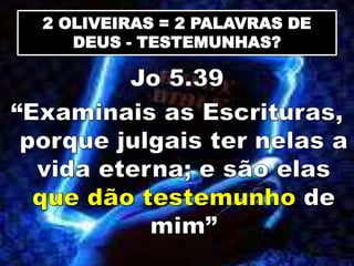 2 OLIVEIRAS = 2 PALAVRAS DE
DEUS - TESTEMUNHAS?
 