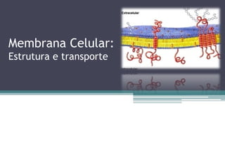 Membrana Celular: 
Estrutura e transporte 
 