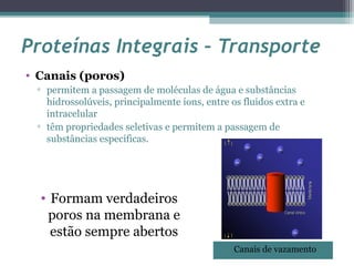 Proteínas Integrais – Transporte 
• Canais (poros) 
▫ permitem a passagem de moléculas de água e substâncias 
hidrossolúveis, principalmente íons, entre os fluidos extra e 
intracelular 
▫ têm propriedades seletivas e permitem a passagem de 
substâncias específicas. 
Canais de vazamento 
• Formam verdadeiros 
poros na membrana e 
estão sempre abertos 
 