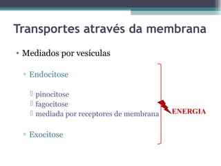 Transportes através da membrana 
• Mediados por vesículas 
▫ Endocitose 
 pinocitose 
 fagocitose 
 mediada por receptores de membrana 
▫ Exocitose 
ENERGIA 
 