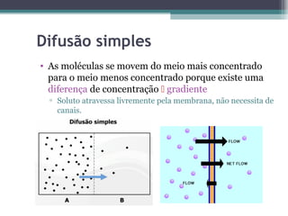 Difusão simples 
• As moléculas se movem do meio mais concentrado 
para o meio menos concentrado porque existe uma 
diferença de concentração  gradiente 
▫ Soluto atravessa livremente pela membrana, não necessita de 
canais. 
 
