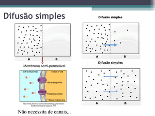 Difusão simples 
Membrana semi-permeável 
http://www.phschool.com/science/biology_place/bioco 
ach/biomembrane1/passive.html 
Não necessita de canais... 
 