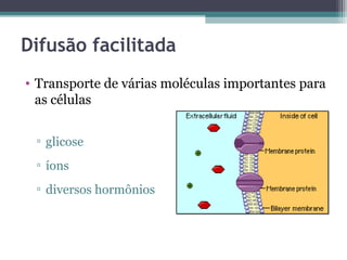 Difusão facilitada 
• Transporte de várias moléculas importantes para 
as células 
▫ glicose 
▫ íons 
▫ diversos hormônios 
 