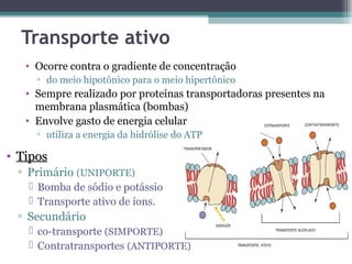 Transporte ativo 
• Ocorre contra o gradiente de concentração 
▫ do meio hipotônico para o meio hipertônico 
• Sempre realizado por proteínas transportadoras presentes na 
membrana plasmática (bombas) 
• Envolve gasto de energia celular 
▫ utiliza a energia da hidrólise do ATP 
• TTiippooss 
▫ Primário (UNIPORTE) 
 Bomba de sódio e potássio 
 Transporte ativo de íons. 
▫ Secundário 
 co-transporte (SIMPORTE) 
 Contratransportes (ANTIPORTE) 
 